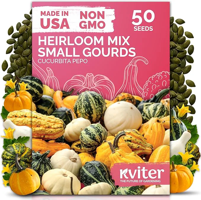 Luxury KVITER 50 Small Gourd Seeds Mix – Ornamental Fall Decor Gourds Non GMO Prestigious