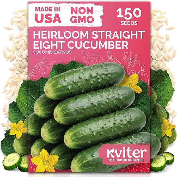 Sophisticated KVITER 150 Straight Eight Cucumber Seeds Healthy