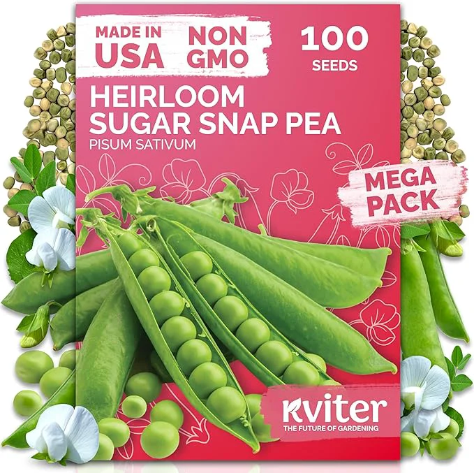 User-Friendly KVITER 100 Sugar Snap Peas Seeds – Sweet Pea Heirloom Seed Crisp Flavor Innovative