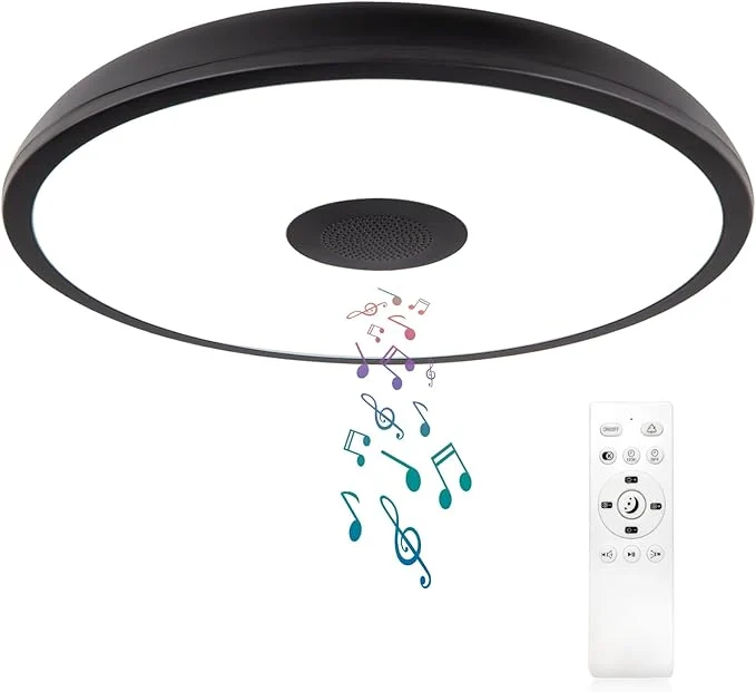 Healthy Black Waterproof LED Flush Mount Ceiling Light Fixture Consistent