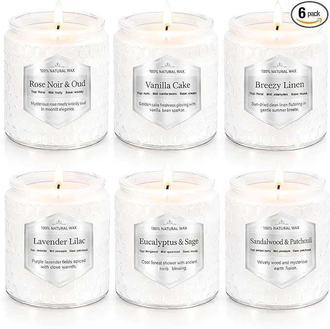 Comfortable Scented Candles Gift Set for Women 6 Pack Aromatherapy Soy Candles for Home Excellent