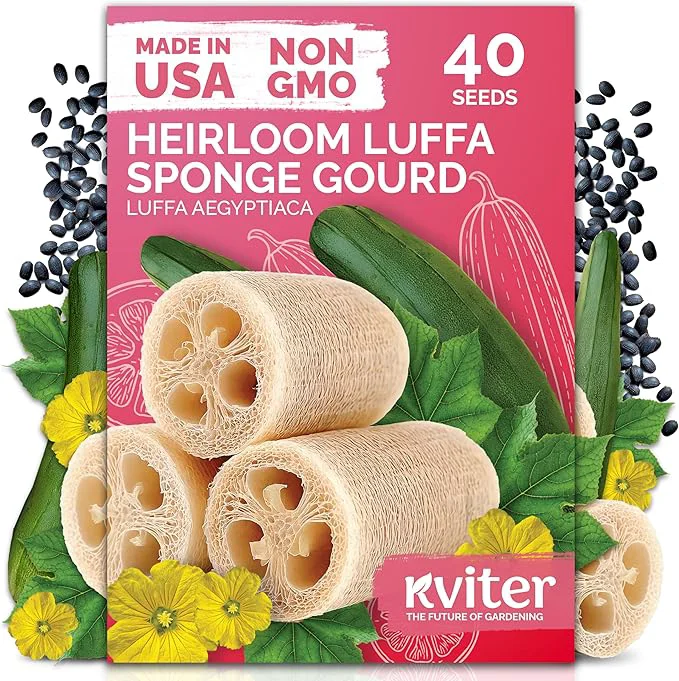 Trusted KVITER 40 Luffa Seeds – Loofa Loofah Sponge Gourd Heirloom Seeds I Non Advanced