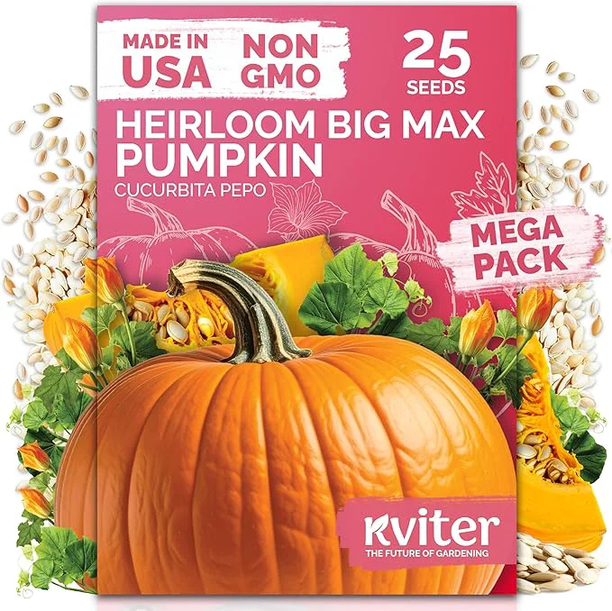Next-Generation KVITER 25 Big Max Pumpkin Seeds Smart