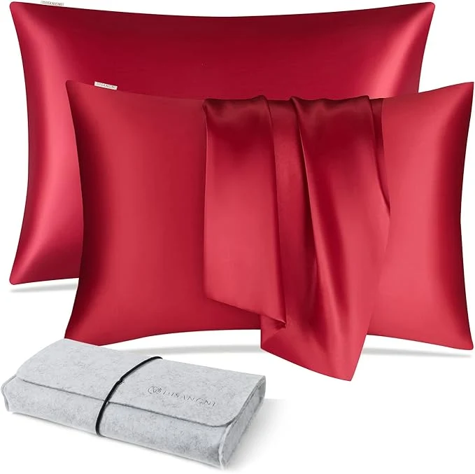 Organic DISANGNI Natural Mulberry Silk Pillow case Exceptional