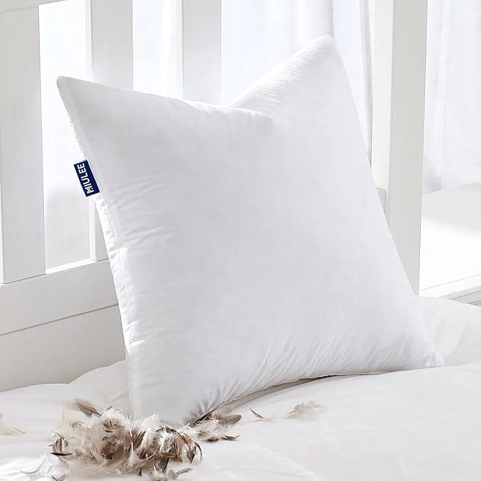 Functional MIULEE Feather Pillow Insert 30x30 Decorative Down Feather Fluffy Throw Pillow Outstanding