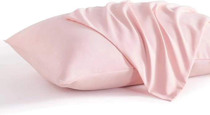 Fashionable NTBAY Standard Pillow Cases Set of 2 2 Pack Brushed Microfiber 20x26 Pillow Reusable