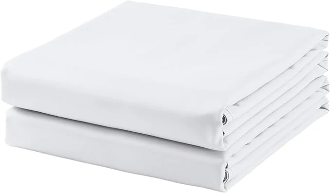 Contemporary 2-Pack Cotton Twin Flat Sheet Only 600 Thread Count Egyptian Cotton Top Top-Quality