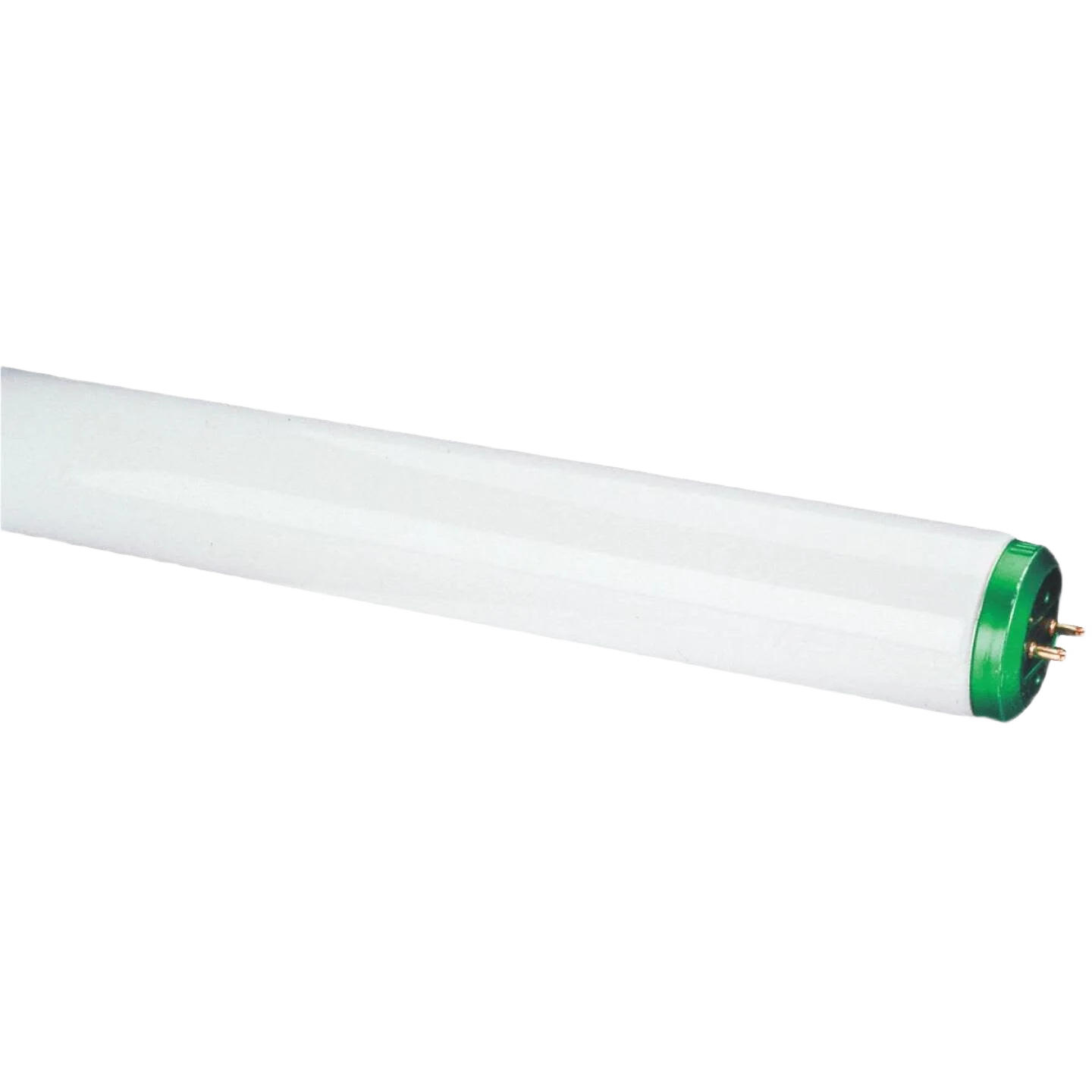 Organic Philips 40 Watt 48 in. Daylight Deluxe Tube Light Bulb 2-Pack Consistent