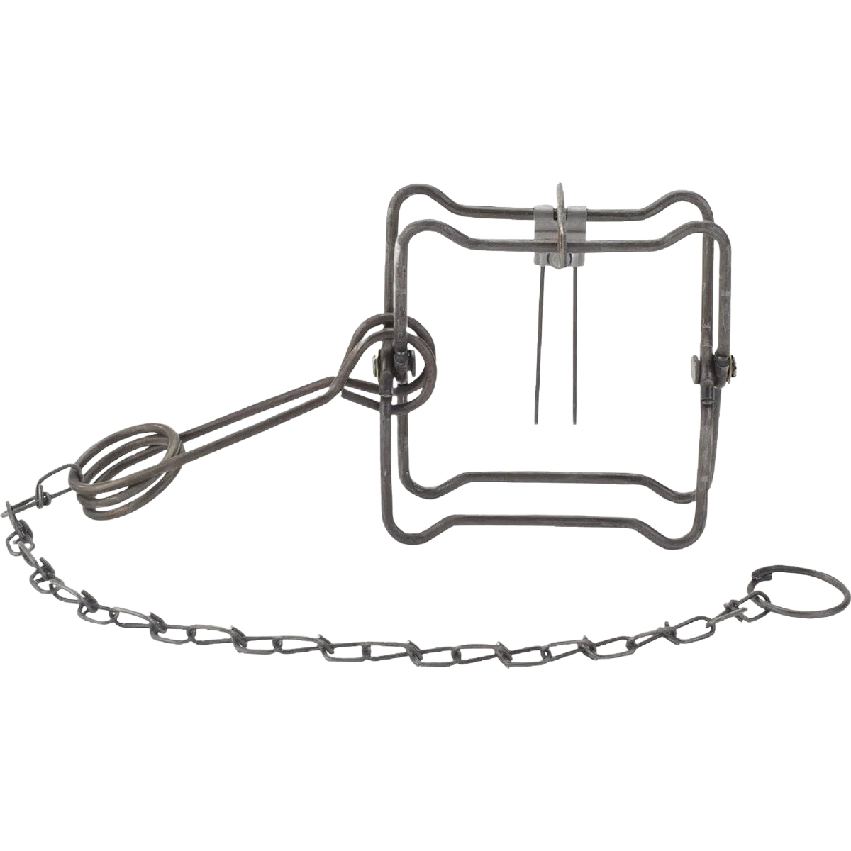 High-Performance Duke Traps Jaw Spread Steel Body Gripping Animal Trap 4.5 in. High-End