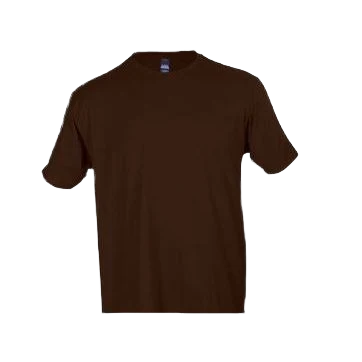 Outstanding Tultex Unisex Fine Jersey Brown Short Sleeve Shirt XXL Trendy