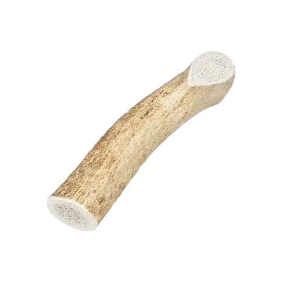 Exclusive Elk Antler Dog Treats Large Natural Elk Antler Selected
