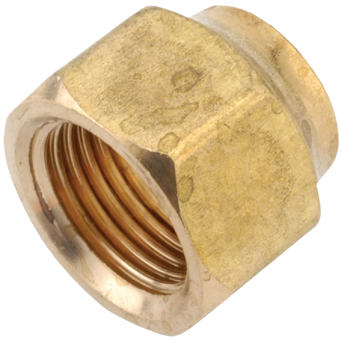 Pure Anderson Metals Forged Short Flare Nut Modern
