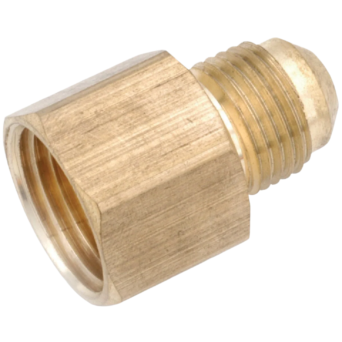 Powerful Anderson Metals Brass Low Lead Female Flare Connector 1 4 In. x 1 4 In. Elite