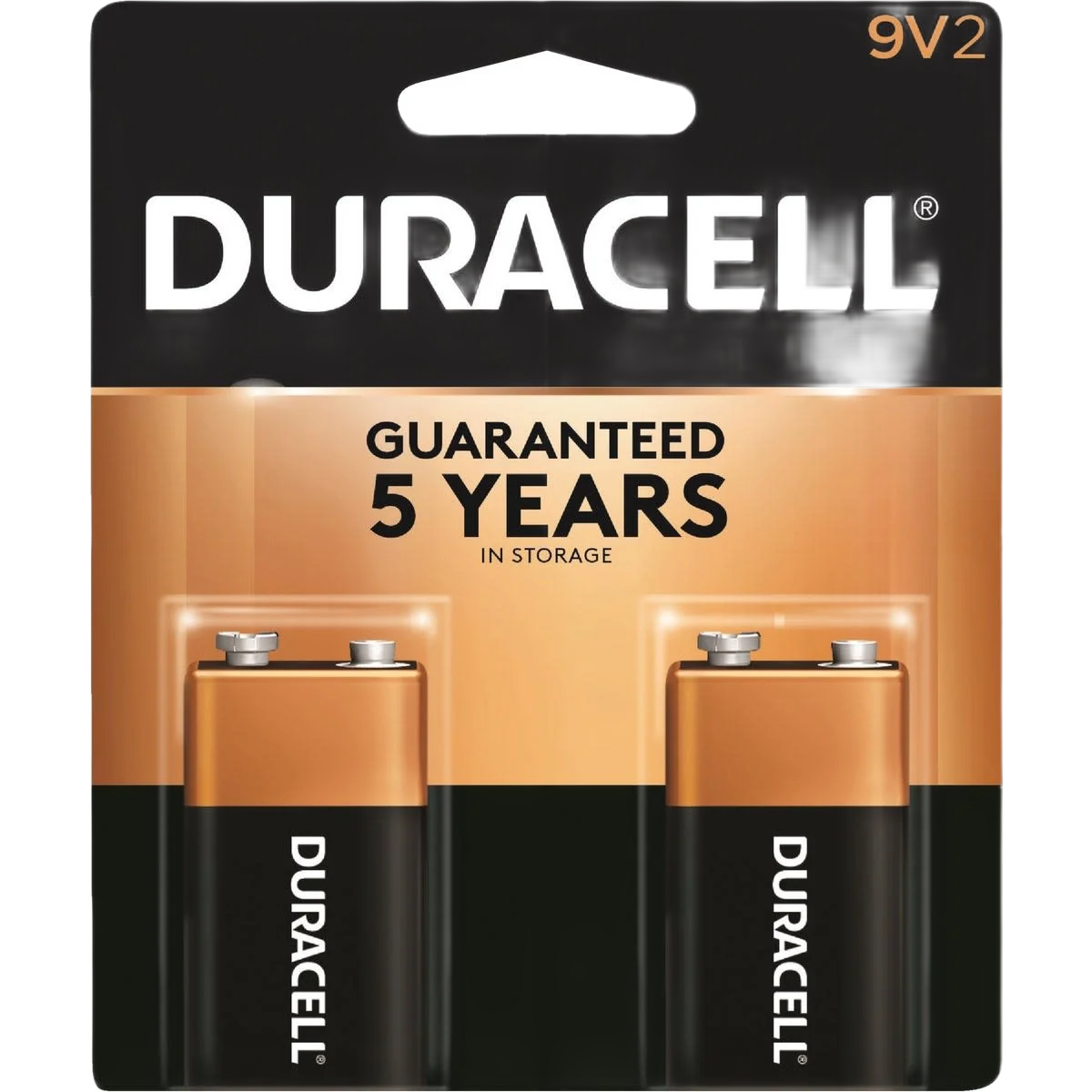 Flexible Duracell CopperTop 9V Alkaline Battery 2-Pack Solid