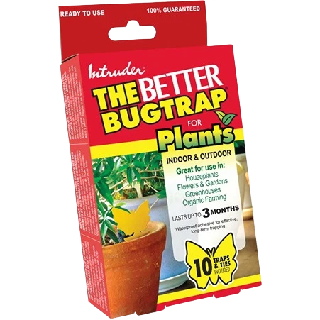 Clean Intruder The Better Bugtrap for Plants 10-Pack Excellent