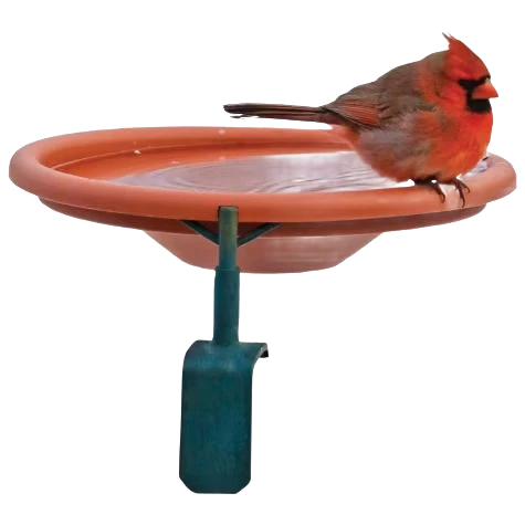 Comfortable Audubon Deck Mount Birdbath Expertly Made