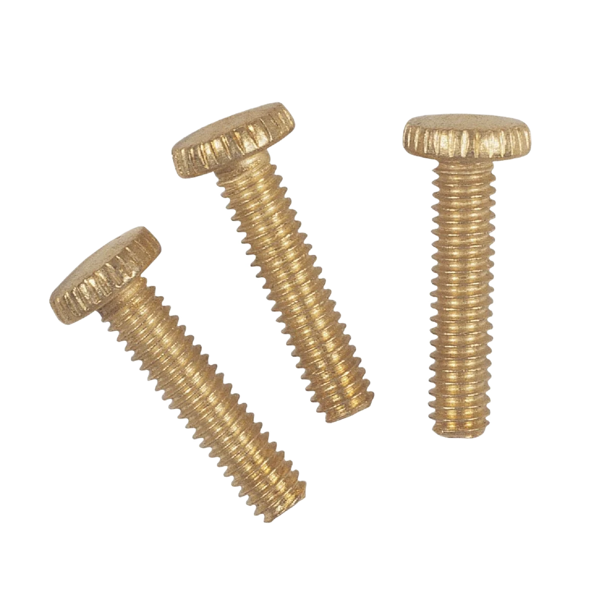 Natural Westinghouse Knurled Head Screws Brass-Plated Steel Original
