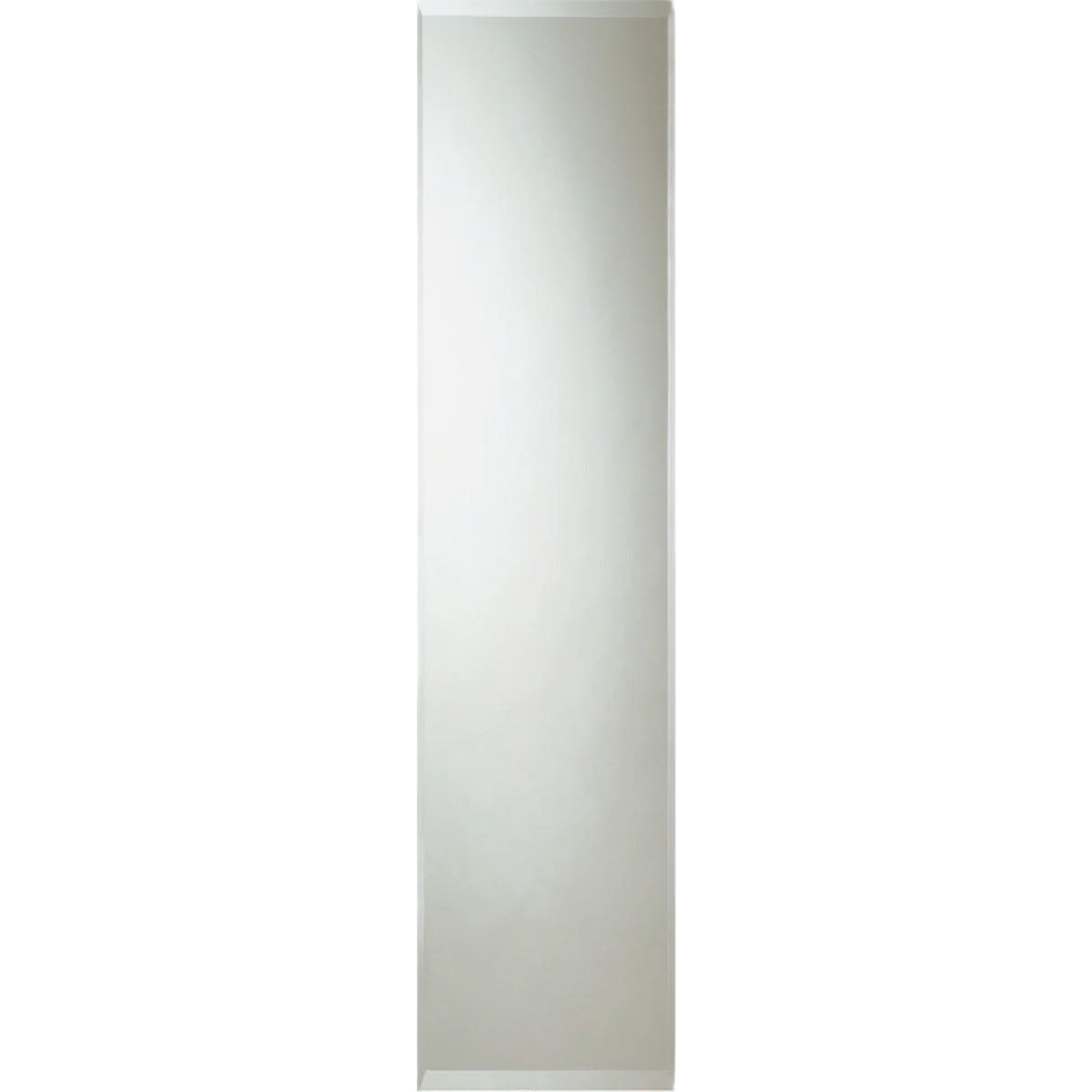 Advanced Erias Home Designs Somerset Frameless Beveled Edge Door Mirror 60 in. Environmentally Friendly