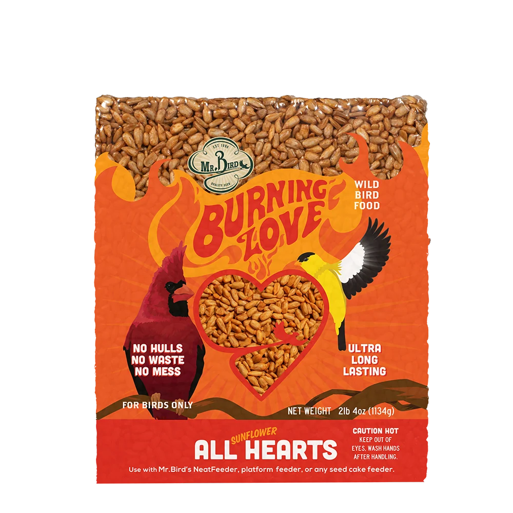 High-Performance Mr. Bird Burning Love Large Seed Cake Responsible