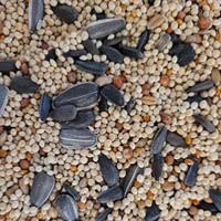 Relaxed Oliger Seed Ultra Bird Seed Mix 10 lb. Solid