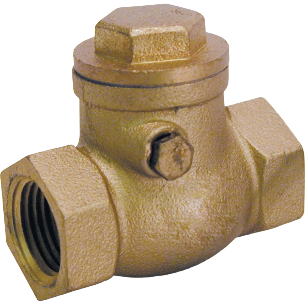 Versatile ProLine 3 4 In. Brass Swing Check Valve Relaxed