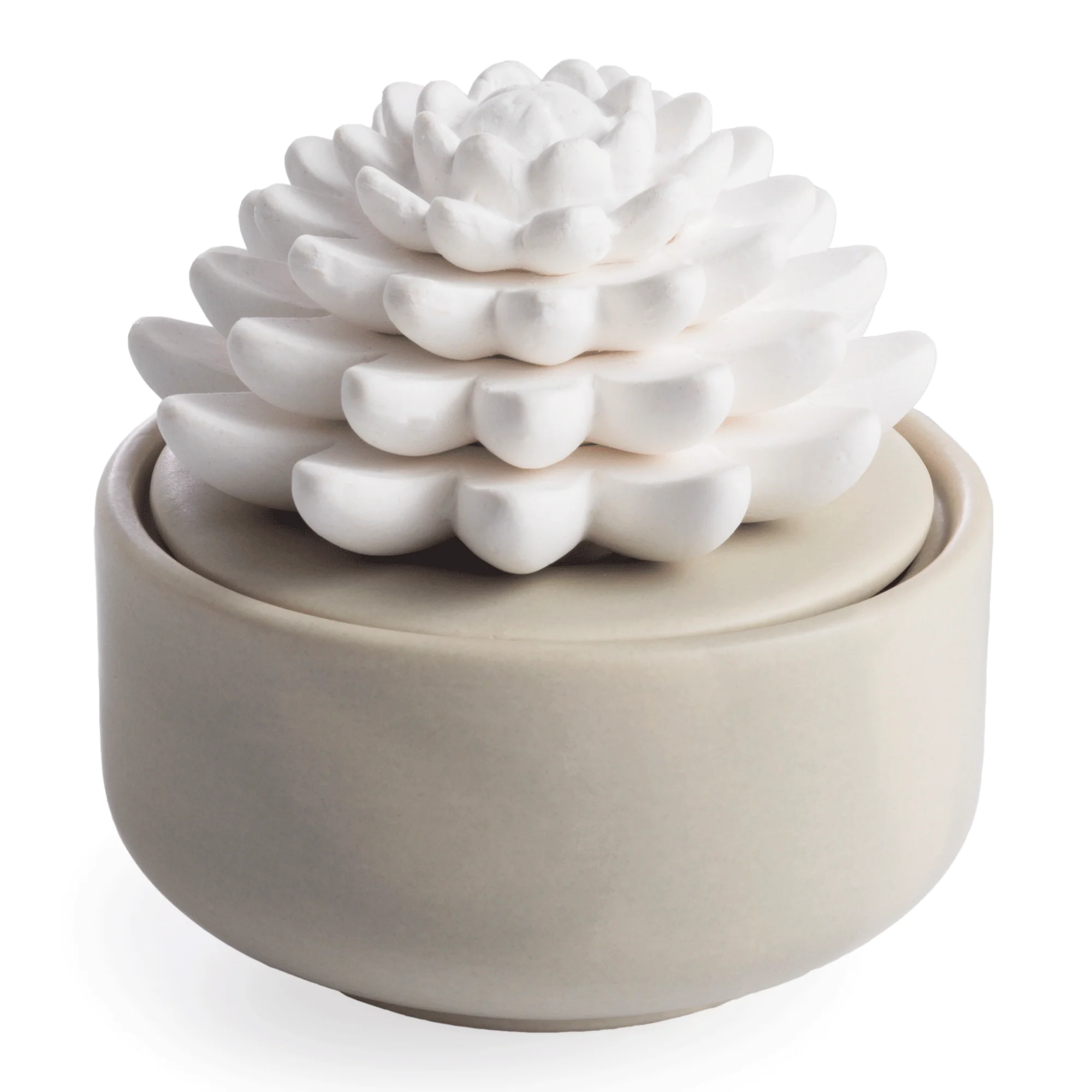 High-End Airome Succulent Porcelain Diffuser Professional