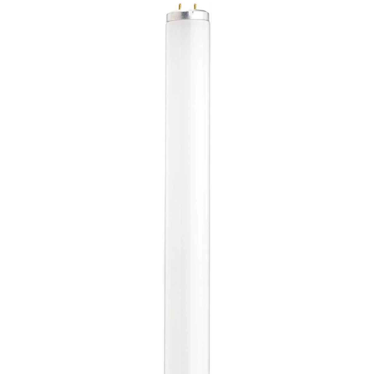 Original Design Satco 30 Watt T12 Fluorescent Cool White Medium Bi-Pin Light Bulb Reusable