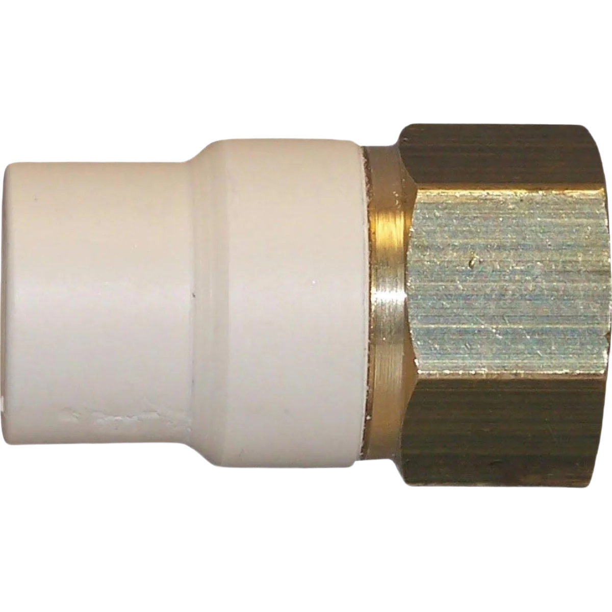 Traditional Charlotte Pipe 3 4 In. Slip x Brass FIP CPVC Transition Adapter Smooth
