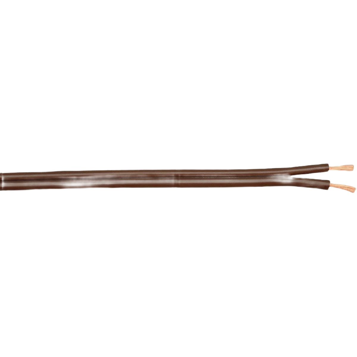 Secure Coleman Cable Lamp Cord Fine