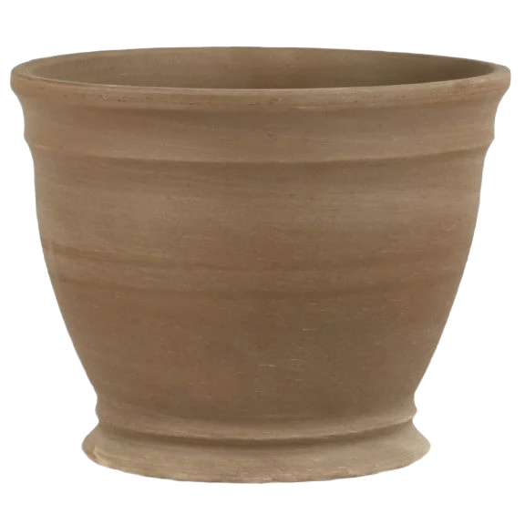 Detailed Border Concepts Gallicus Basalt Chocolate Marbled Clay Pot 6 in. x 7.75 in. Healthy