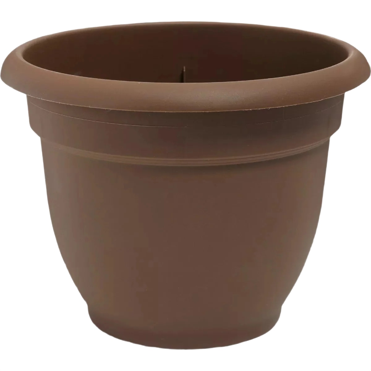 Responsible Bloem Ariana 8.8 H x 8 Dia. Plastic Self-Watering Chocolate Planter Healthy