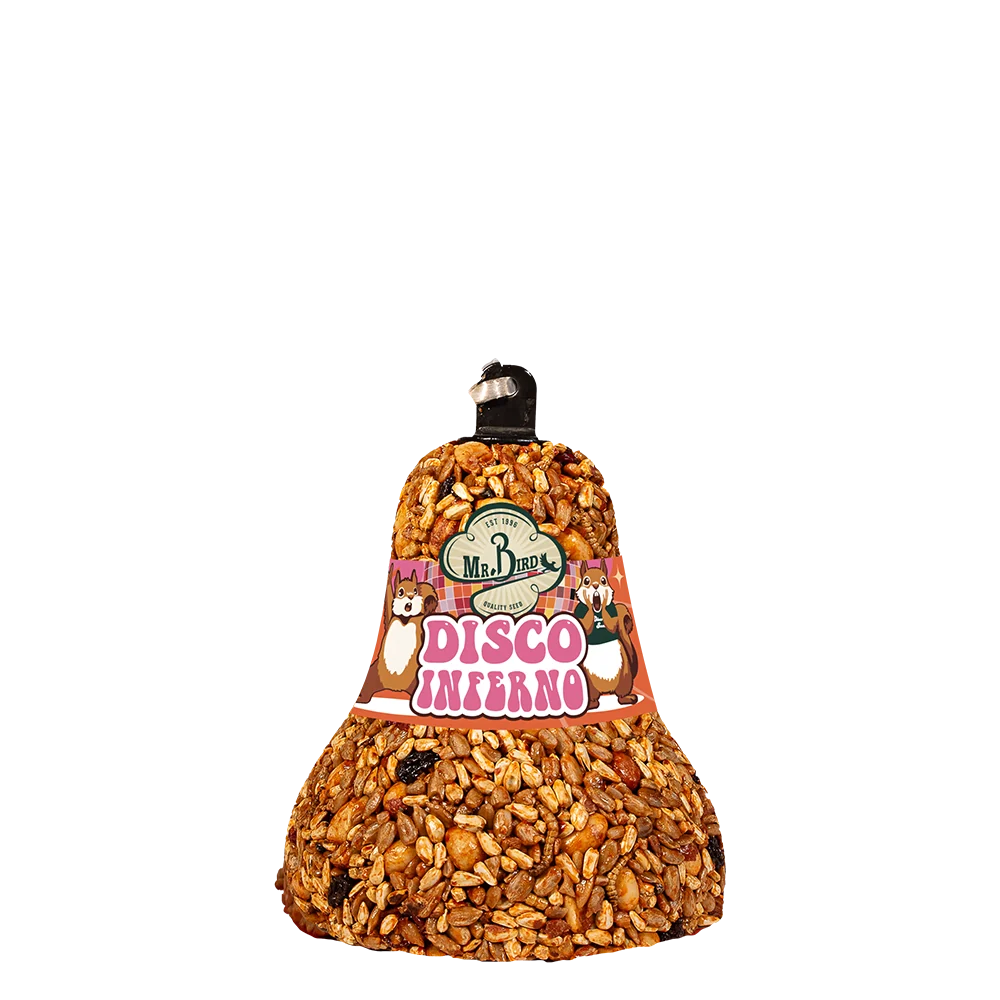 Artisan Mr. Bird Disco Inferno Seed Bell Long-Lasting