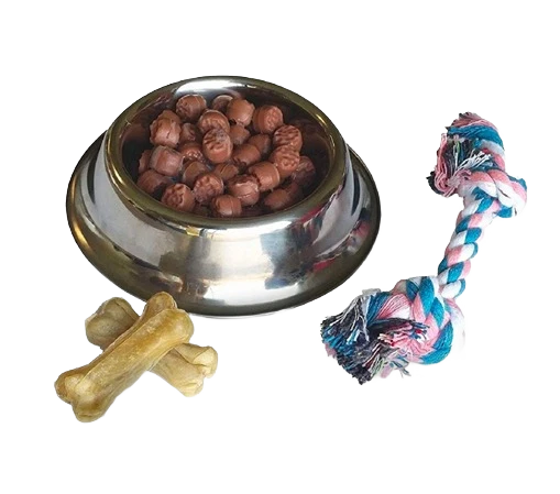 Luxury Petzzz Dog Toy Set Innovative