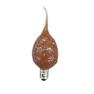 Comfortable Vickie Jean's Creations Spicy Rosehips Scented Bulb Original