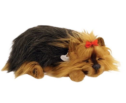Convenient Petzzz Yorkie Pet Carefully Designed
