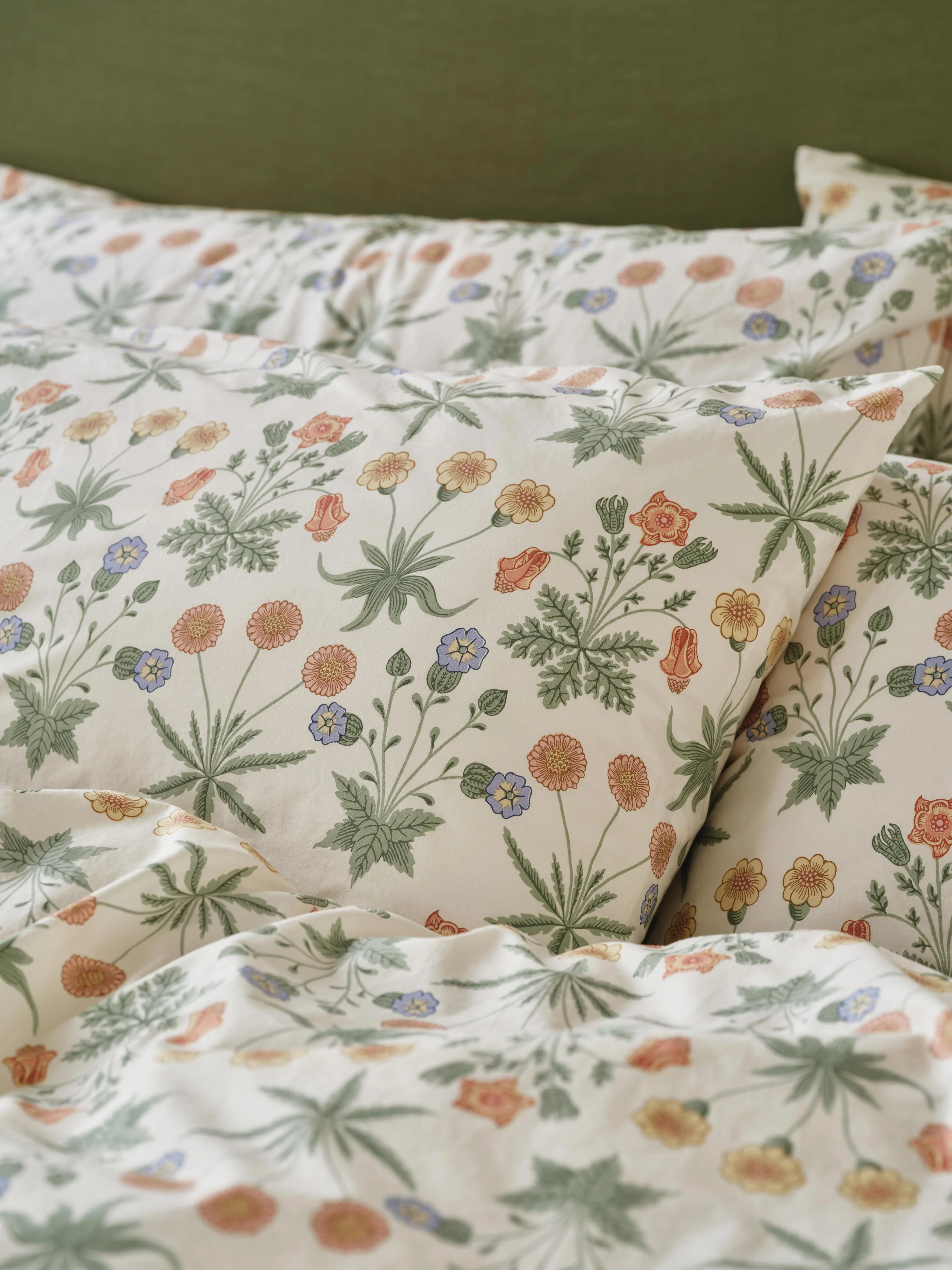 Fine Sage Mindful Cream Daisy Cotton Pillowcases Pair Enhanced