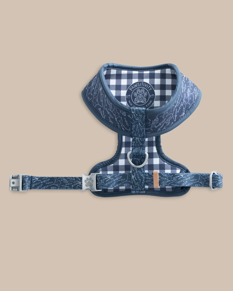 Smart ST x Pawsitivity Schooling Fish Dog Harness Environmentally Friendly