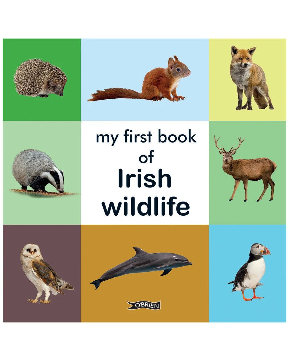 Soft My First Book of Irish Wildlife- Children's Book Reliable