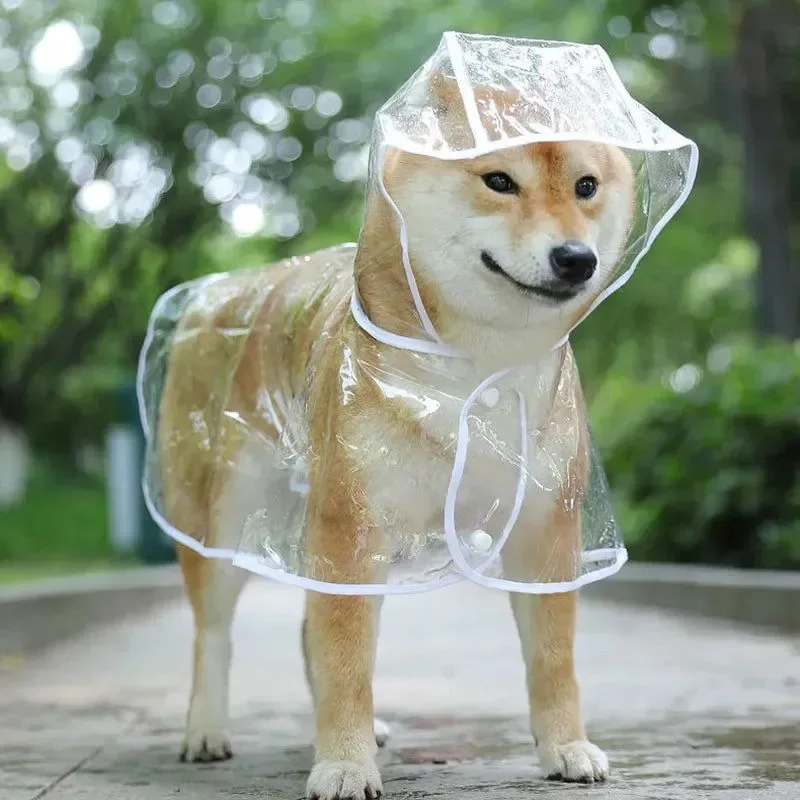 Safe Impermeable transparente para perros pequeños - Chaqueta impermeable con capucha Elegant