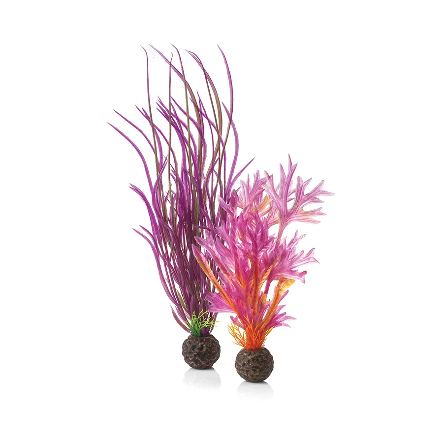 Classic BiOrb Aquarium Easy Plant Set Red Pink 2 Pack Medium Exceptional