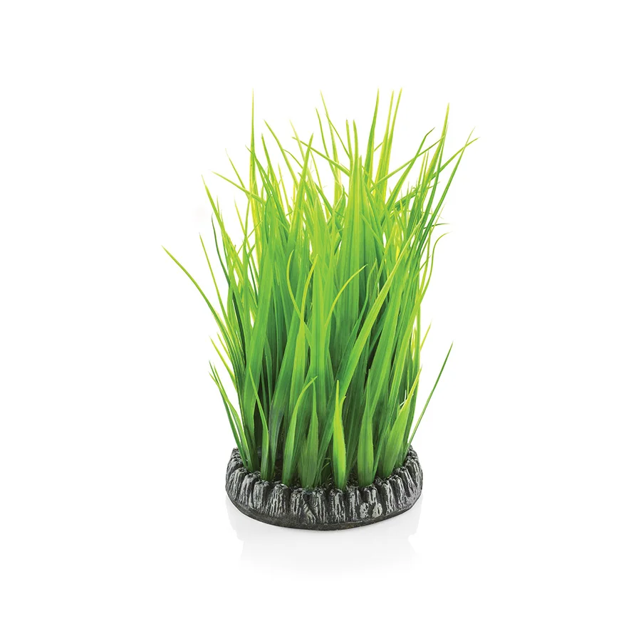 Classic BiOrb Aquarium Grass Ring Green Medium Functional
