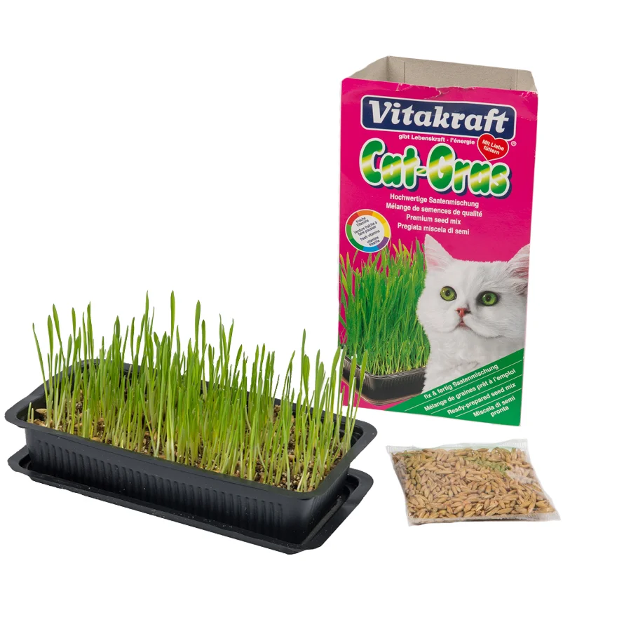 Exclusive Vitakraft Cat Grass 120g Comfortable