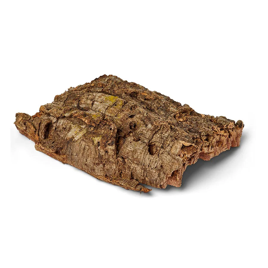 Minimalist Eden Cork Bark Flat Convenient