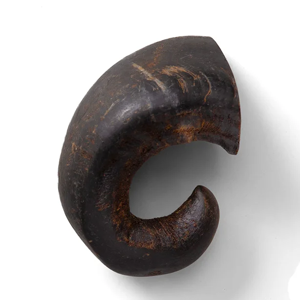 Advanced NAW Buffalo Horn Dog Treat Small Selected