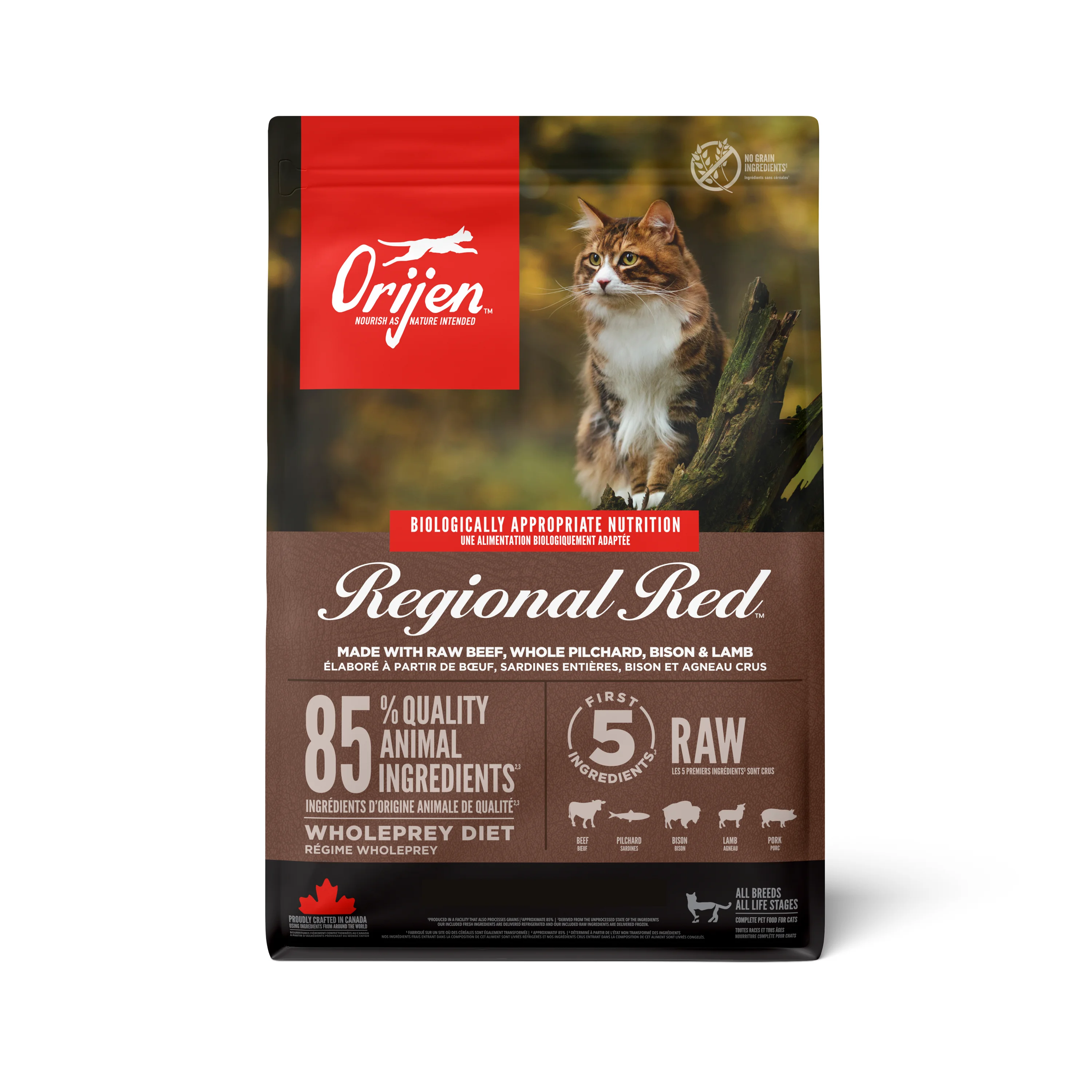 Long-Lasting ORIJEN Regional Red Adult Dry Cat Food with Beef Pilchard Bison Lamb 5.4kg Trusted