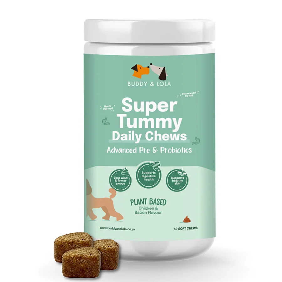 Superior Buddy Lola Super Tummy Daily Probiotic for Dogs 60 Pack Refined