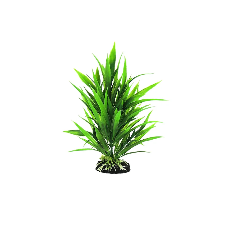 Top-Quality Classic Aquatics Rush Plant Small Flexible
