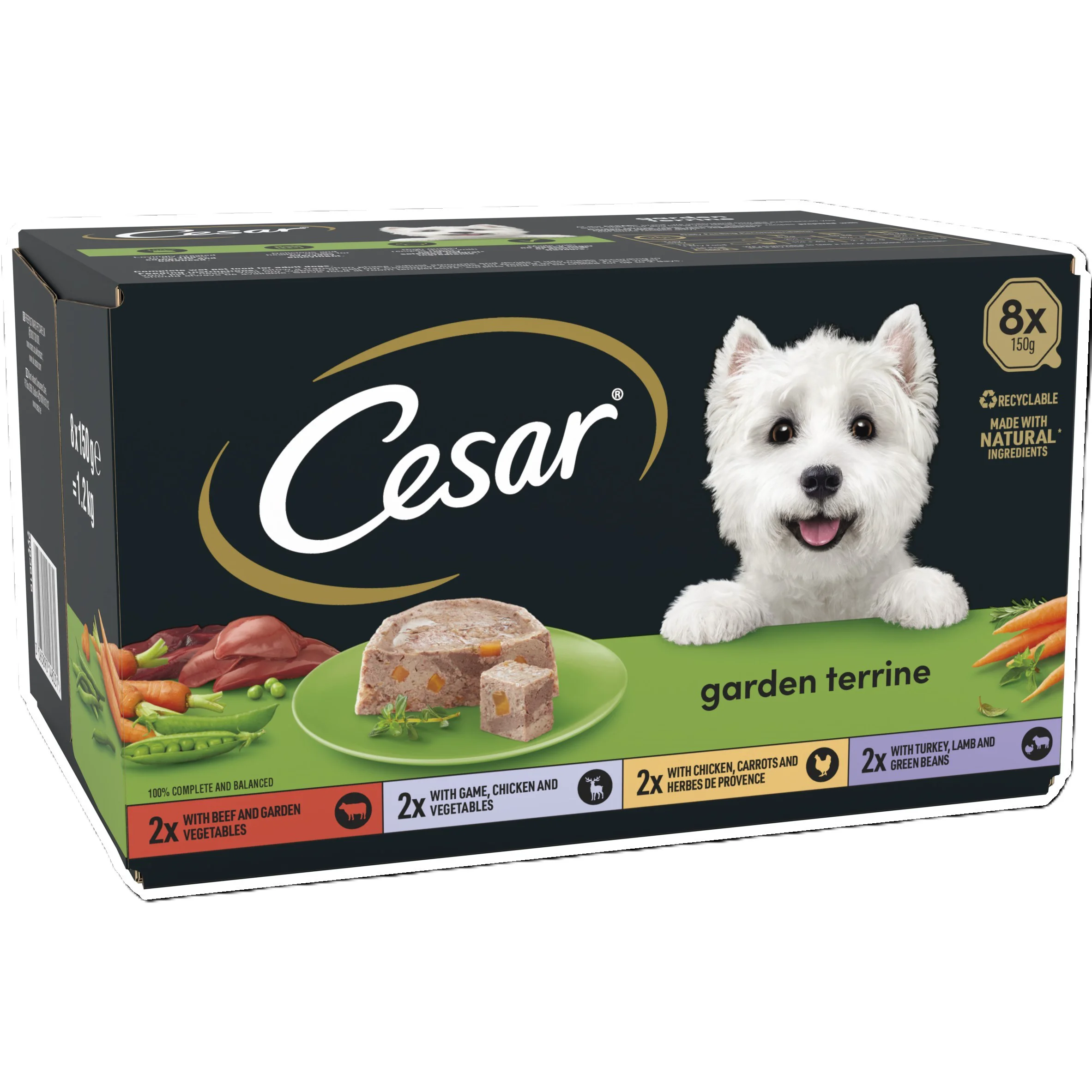 Modern Cesar Adult Wet Dog Food Garden Terrine Mixed Selection Loaf Trusted