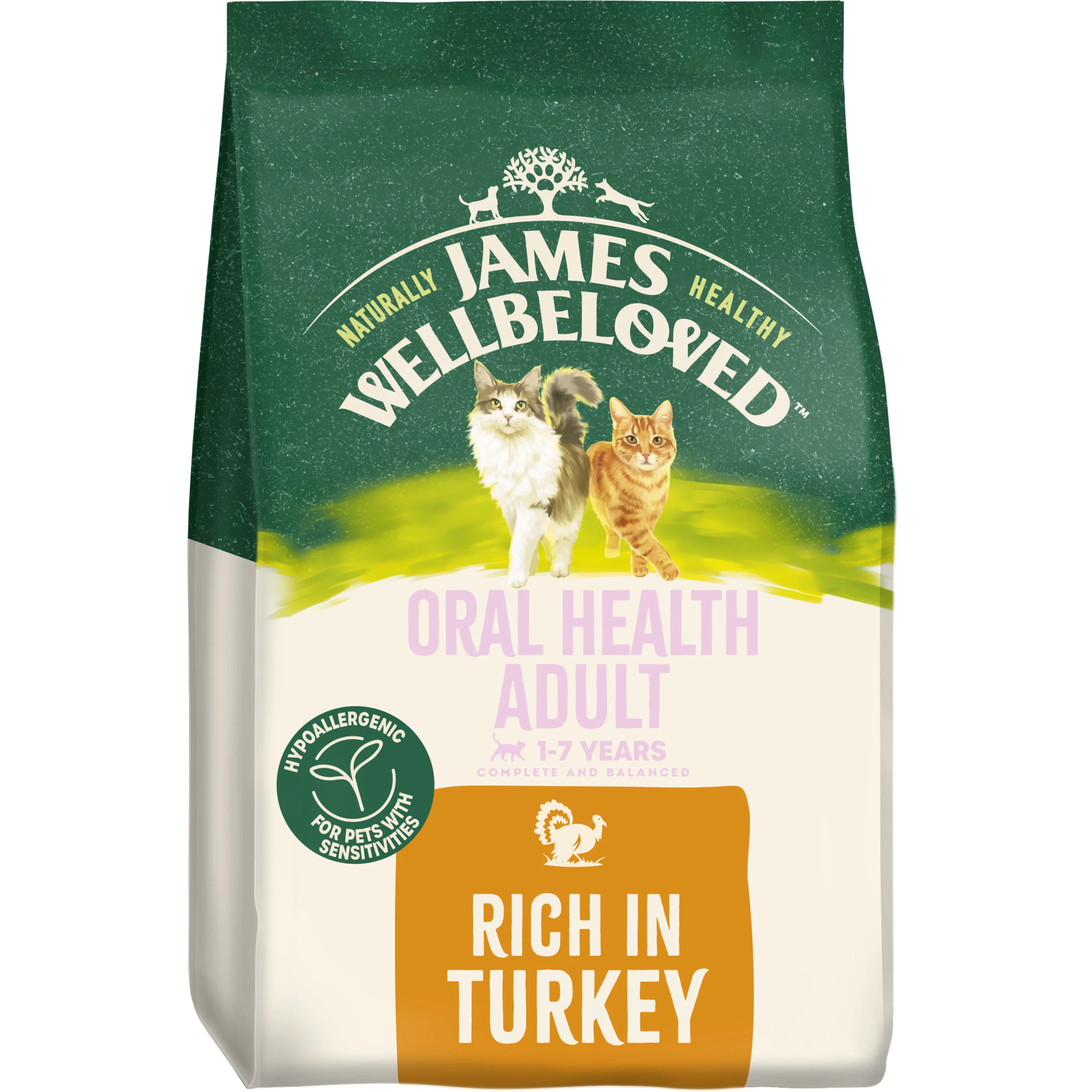 Next-Generation James Wellbeloved Oral Care Adult Dry Cat Food Turkey 4kg Artisan